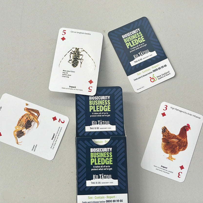 Personalised Playing Cards